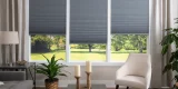 blinds-and-window-shades-og